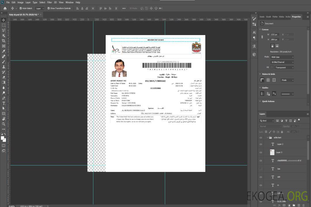 Modèle de visa électronique des Émirats arabes unis aux formats Word et PDF, version 8 template Modèle de visa électronique des Émirats arabes unis aux formats Word et PDF, version 8 template